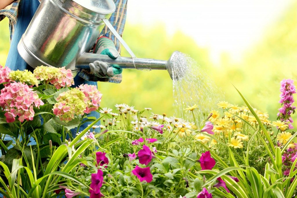 flowers being watered in the garden