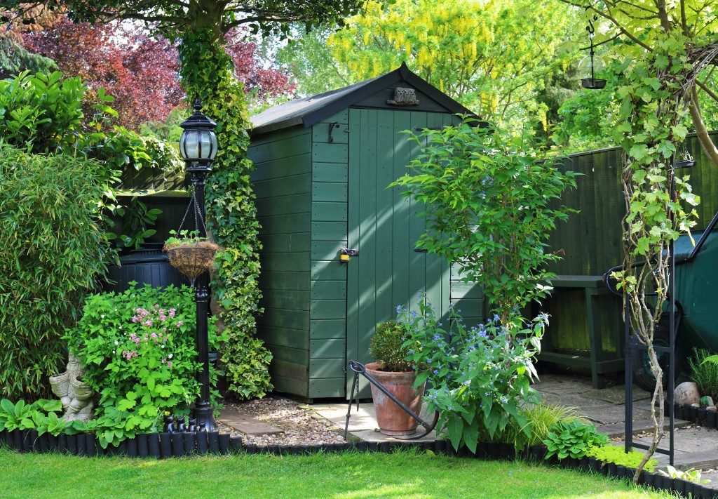 English back garden with shed amongst the plants