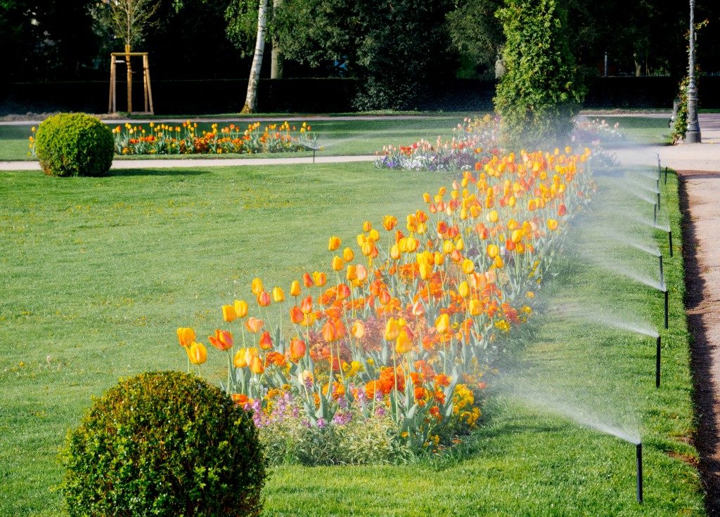 Garden with sprinklers