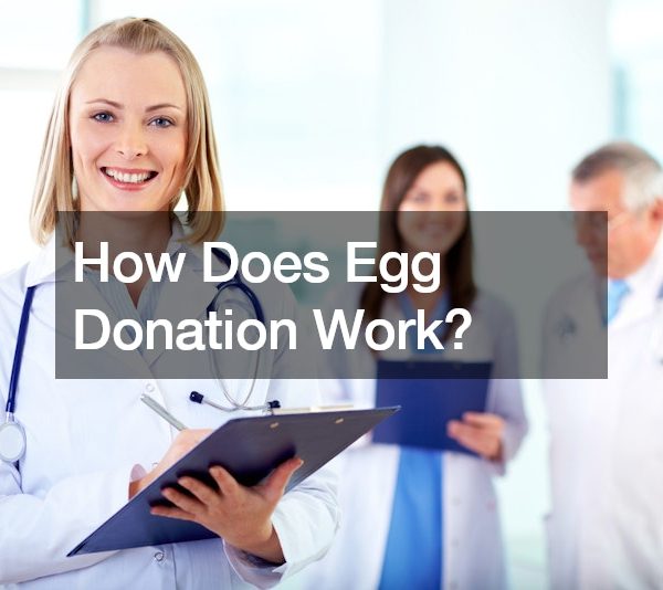 How Does Egg Donation Work?