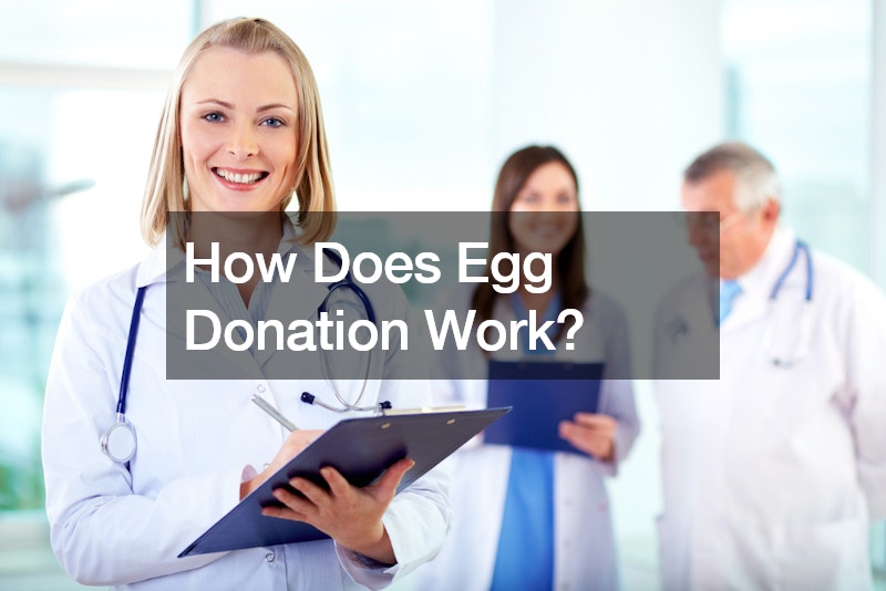 How Does Egg Donation Work?