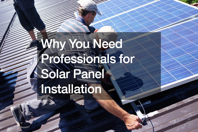 Why You Need Professionals for Solar Panel Installation